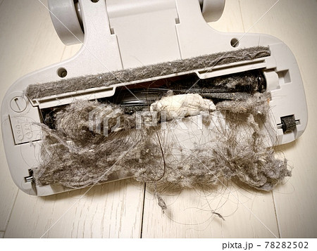 掃除機のホコリ詰まり 写真素材 掃除機のホコリ詰まり 写真素材 78282502