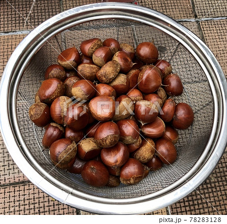 焼き栗 焼き栗 78283128