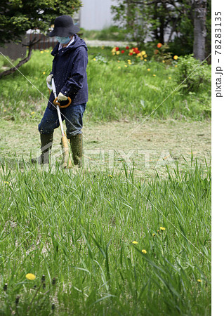 家庭用電動草刈機で庭の草刈りをする中年女性 78283135