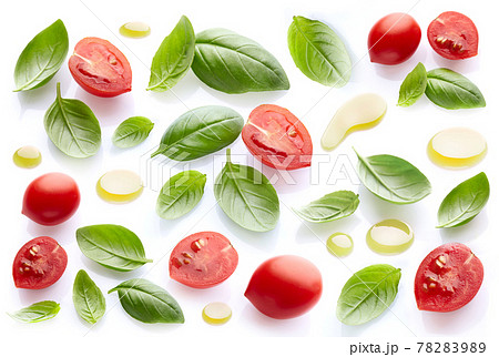 Basil leaves with tomatoes and olive oil 78283989