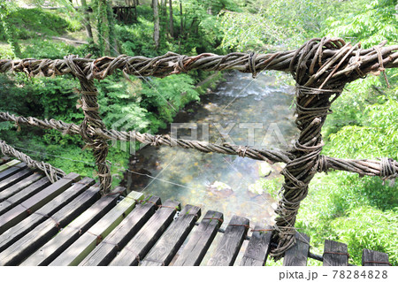越前池田町のかずら橋（福井県 池田町） 78284828