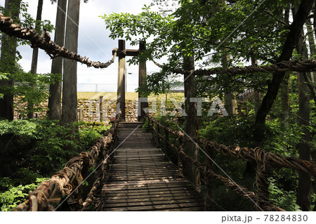 越前池田町のかずら橋（福井県 池田町） 78284830