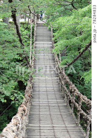 越前池田町のかずら橋（福井県 池田町） 78284833