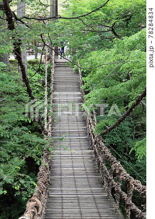 越前池田町のかずら橋（福井県 池田町） 78284834