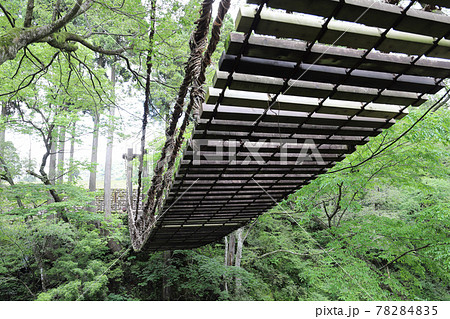 越前池田町のかずら橋(福井県 池田町) 越前池田町のかずら橋(福井県 池田町) 78284835