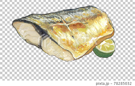 水彩画 鯖 塩焼き 食品のイラスト素材