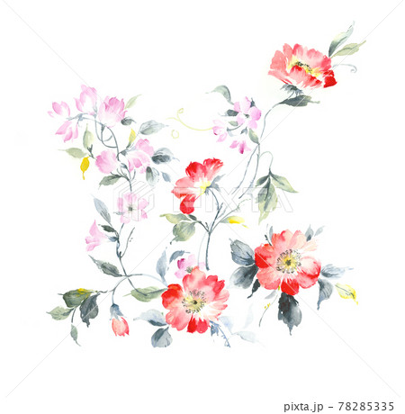 透明水彩 水彩画 花 78285335