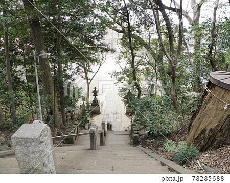 流山赤城神社 千葉県流山市 流山赤城神社 千葉県流山市 78285688