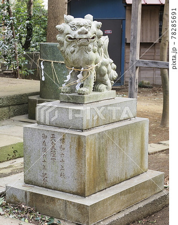 流山赤城神社 千葉県流山市 流山赤城神社 千葉県流山市 78285691