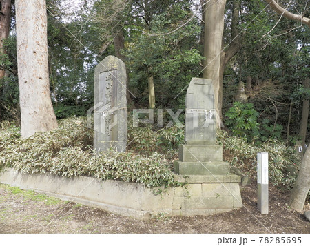 流山赤城神社 千葉県流山市 流山赤城神社 千葉県流山市 78285695