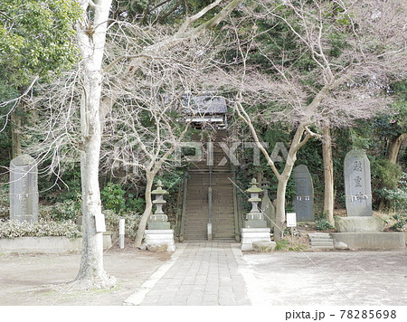 流山赤城神社 千葉県流山市 流山赤城神社 千葉県流山市 78285698