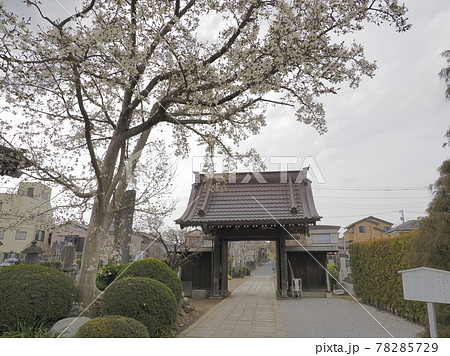流山赤城山光明院 千葉県流山市 流山赤城山光明院 千葉県流山市 78285729