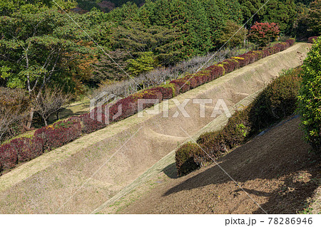 史跡 山中城跡 一の丸堀 78286946