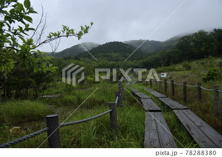 雨の葦毛湿原 雨の葦毛湿原 78288380