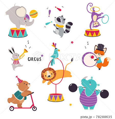 Circus Animals Performing Tricks With Raccoon のイラスト素材 7635