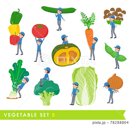 野菜と配送員女性のセット。Bタイプ 野菜と配送員女性のセット。Bタイプ 78288804