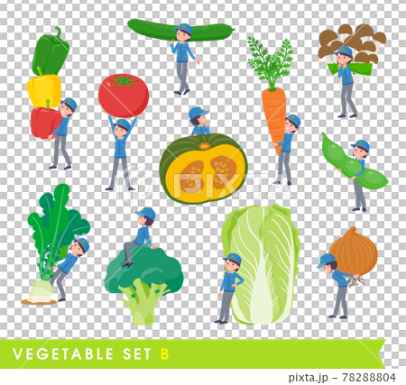 野菜と配送員女性のセット。Bタイプ 野菜と配送員女性のセット。Bタイプ 78288804