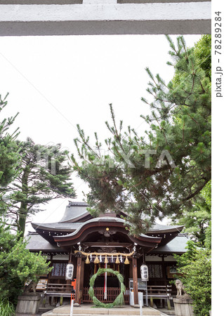 京都熊野神社、本殿前に夏越の祓の茅の輪 京都熊野神社、本殿前に夏越の祓の茅の輪 78289284