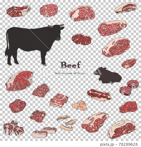 Wagyu beef illustration set-hand-drawn line drawing 78289628