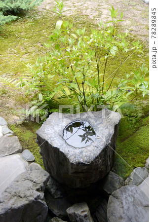 慈光院　中庭の手水鉢　奈良県大和郡山市 78289845