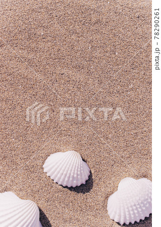 Summer concept background with seashells, shells on sand tropical sea beach. Design of summer vacation holiday concept. Summer concept background with seashells, shells on sand tropical sea beach. Design of summer vacation holiday concept. 78290261