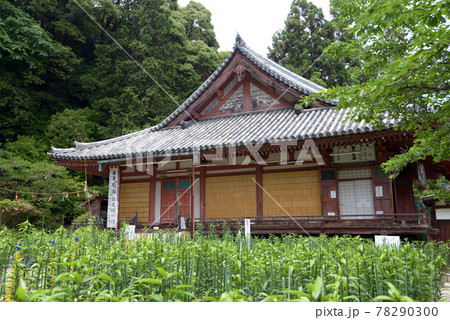 松尾寺　本堂　奈良県大和郡山市 78290300