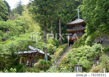 松尾寺 行者堂と三重塔 奈良県大和郡山市の写真素材