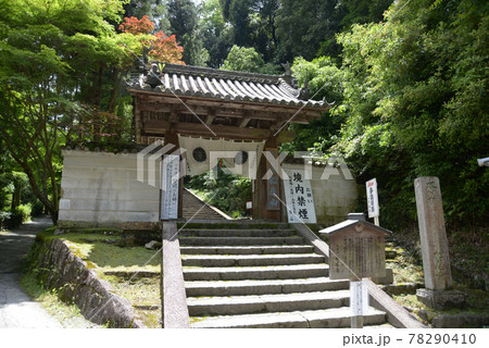 松尾寺　北総門　奈良県大和郡山市 78290410