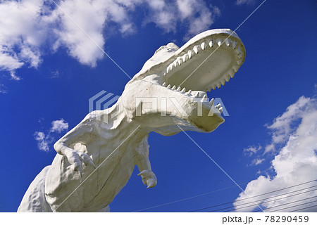 ホワイトザウルス（福井県勝山市村岡町） 78290459