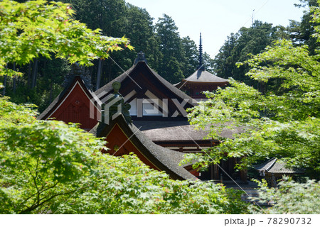 長命寺　新緑の伽藍　滋賀県近江八幡市 78290732