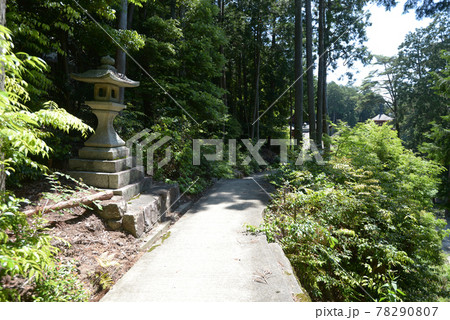 長命寺 参道の灯篭 滋賀県近江八幡市 長命寺 参道の灯篭 滋賀県近江八幡市 78290807