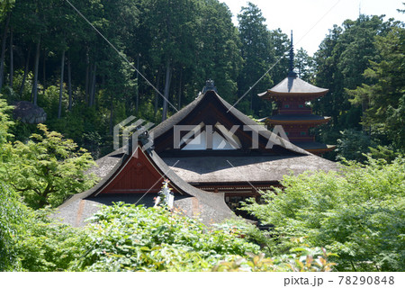 長命寺　新緑の伽藍　滋賀県近江八幡市 78290848