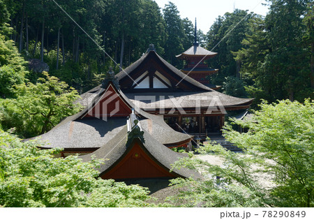 長命寺　新緑の伽藍　滋賀県近江八幡市 78290849