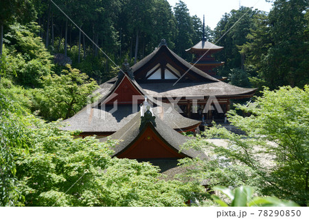 長命寺　新緑の伽藍　滋賀県近江八幡市 78290850