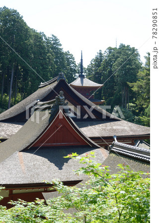 長命寺　新緑の伽藍　滋賀県近江八幡市 78290851