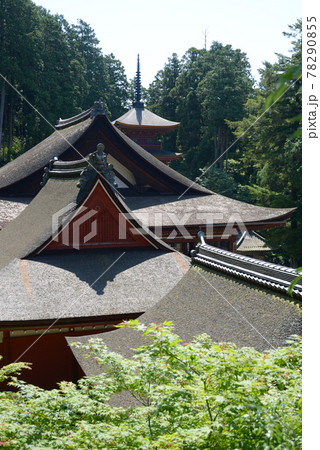 長命寺 新緑の伽藍 滋賀県近江八幡市 長命寺 新緑の伽藍 滋賀県近江八幡市 78290855