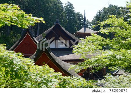 長命寺　新緑の伽藍　滋賀県近江八幡市 78290875