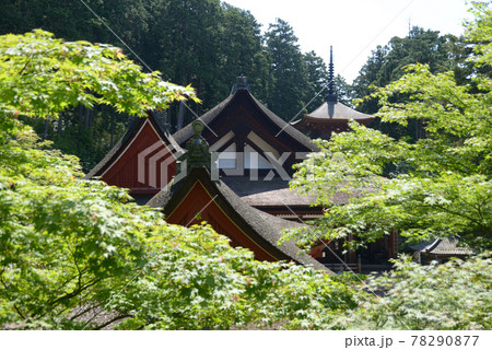 長命寺　新緑の伽藍　滋賀県近江八幡市 78290877