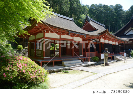 長命寺　護法権現社拝殿と三仏堂　滋賀県近江八幡市 78290880