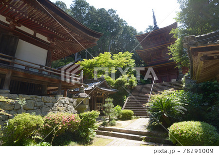 長命寺　本堂と三重塔　滋賀県近江八幡市 78291009