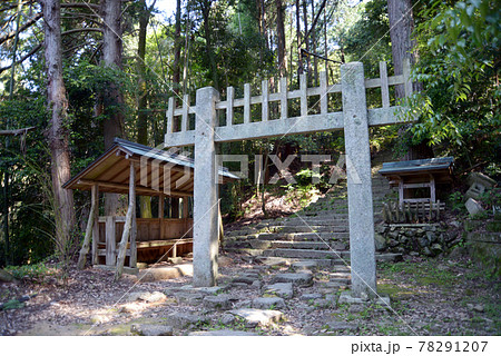 長命寺　参道の石鳥居　滋賀県近江八幡市 78291207