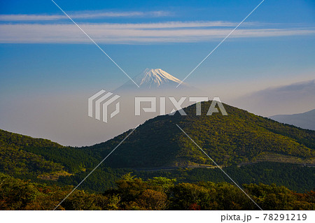（静岡県）伊豆仁科峠・春霞に浮かぶ富士山 78291219