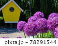 紫色のアリウムの花と黄色いバードハウス 78291544