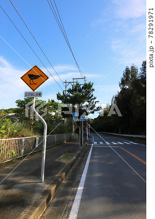 沖縄 国頭村 動物飛び出し注意道路標識(ヤンバルクイナ) 沖縄 国頭村 動物飛び出し注意道路標識(ヤンバルクイナ) 78291971