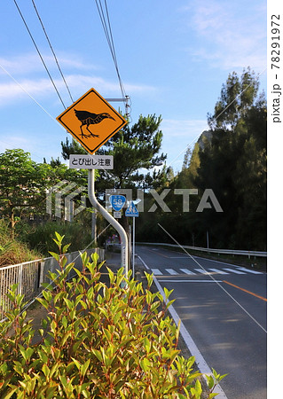 沖縄 国頭村 動物飛び出し注意道路標識(ヤンバルクイナ) 沖縄 国頭村 動物飛び出し注意道路標識(ヤンバルクイナ) 78291972