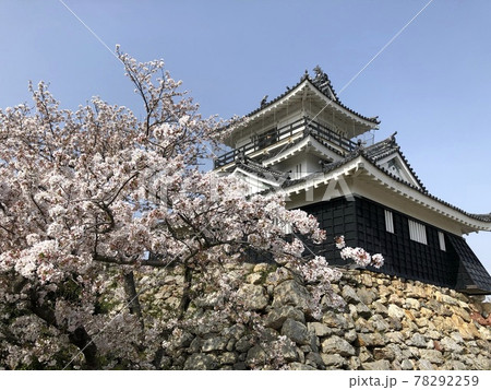 満開の桜と日本のお城 78292259