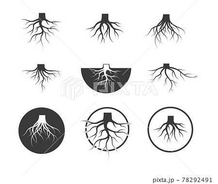 tree roots vector icon illustration design tree roots vector icon illustration design 78292491