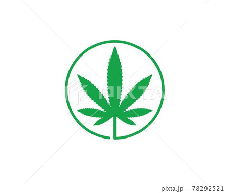 cannabis leaf vector icon illustration design 78292521