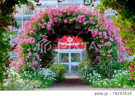 バラのアーチ 78292639