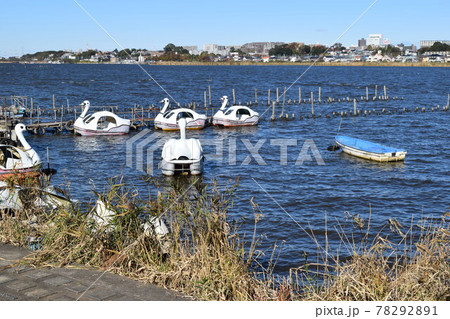手賀沼 利根川水系 78292891